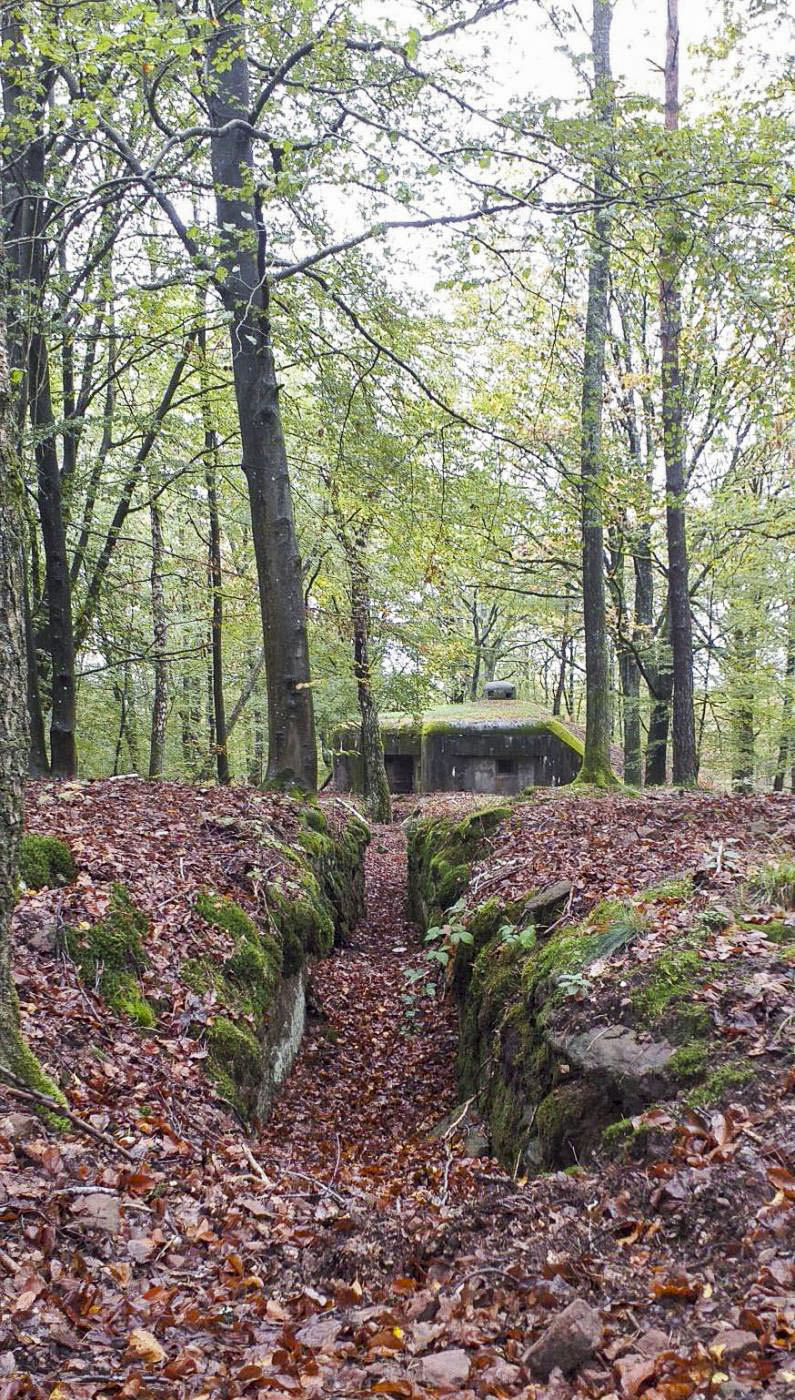 Ligne Maginot - BIESENBERG 4 - (Blockhaus pour arme infanterie) - Tranchée de liaison entre les deux blocs - G.Fuchs