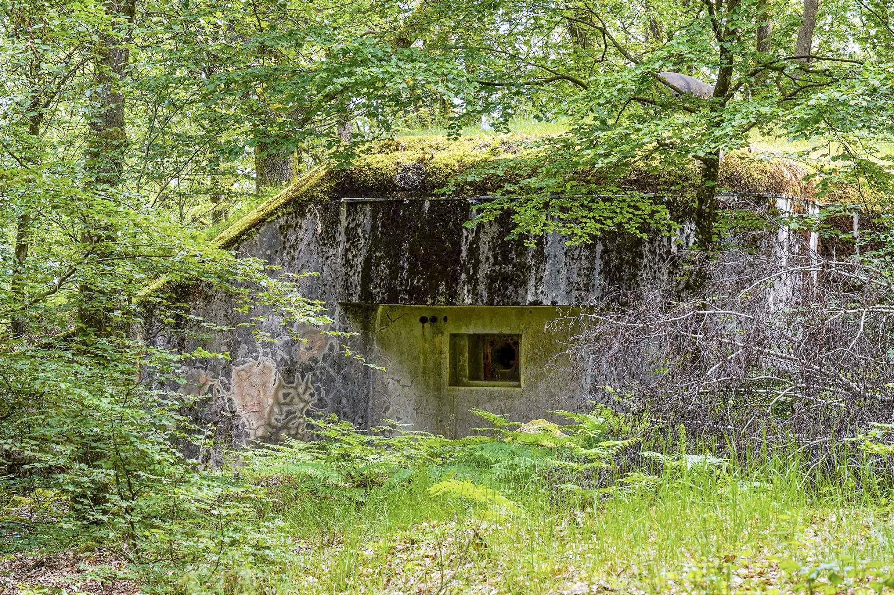 Ligne Maginot - BIESENBERG 4 - (Blockhaus pour arme infanterie) - Vue extérieure - David Palmer