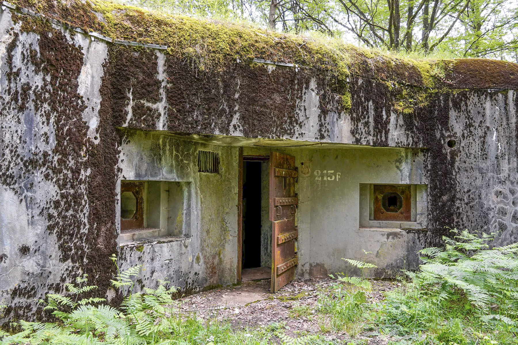 Ligne Maginot - BIESENBERG 4 - (Blockhaus pour arme infanterie) - Entrée - David Palmer