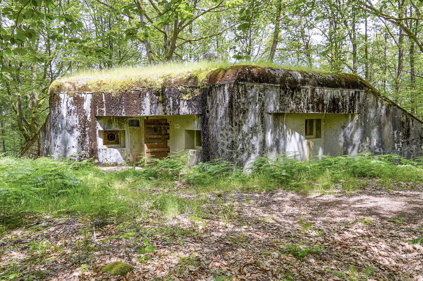 Ligne Maginot - BIESENBERG 4 - (Blockhaus pour arme infanterie) - Vue extérieure - David Palmer