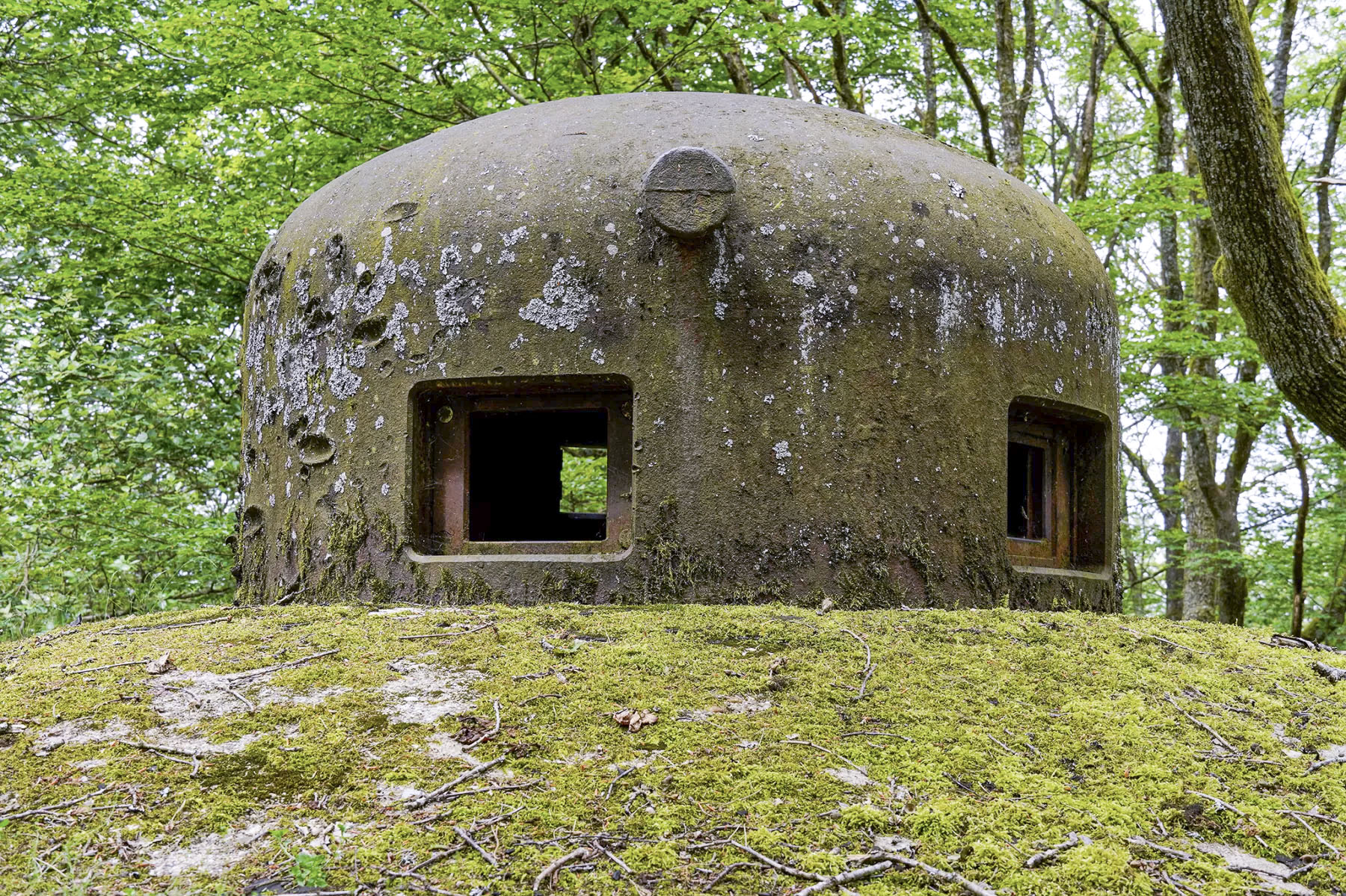 Ligne Maginot - BIESENBERG 4 - (Blockhaus pour arme infanterie) - Cloche GFM - David Palmer