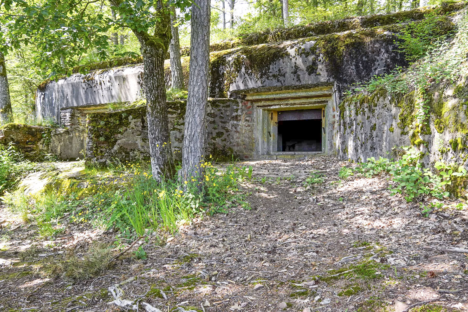 Ligne Maginot - BIESENBERG - (Casemate d'artillerie) - Vue extérieure - David Palmer