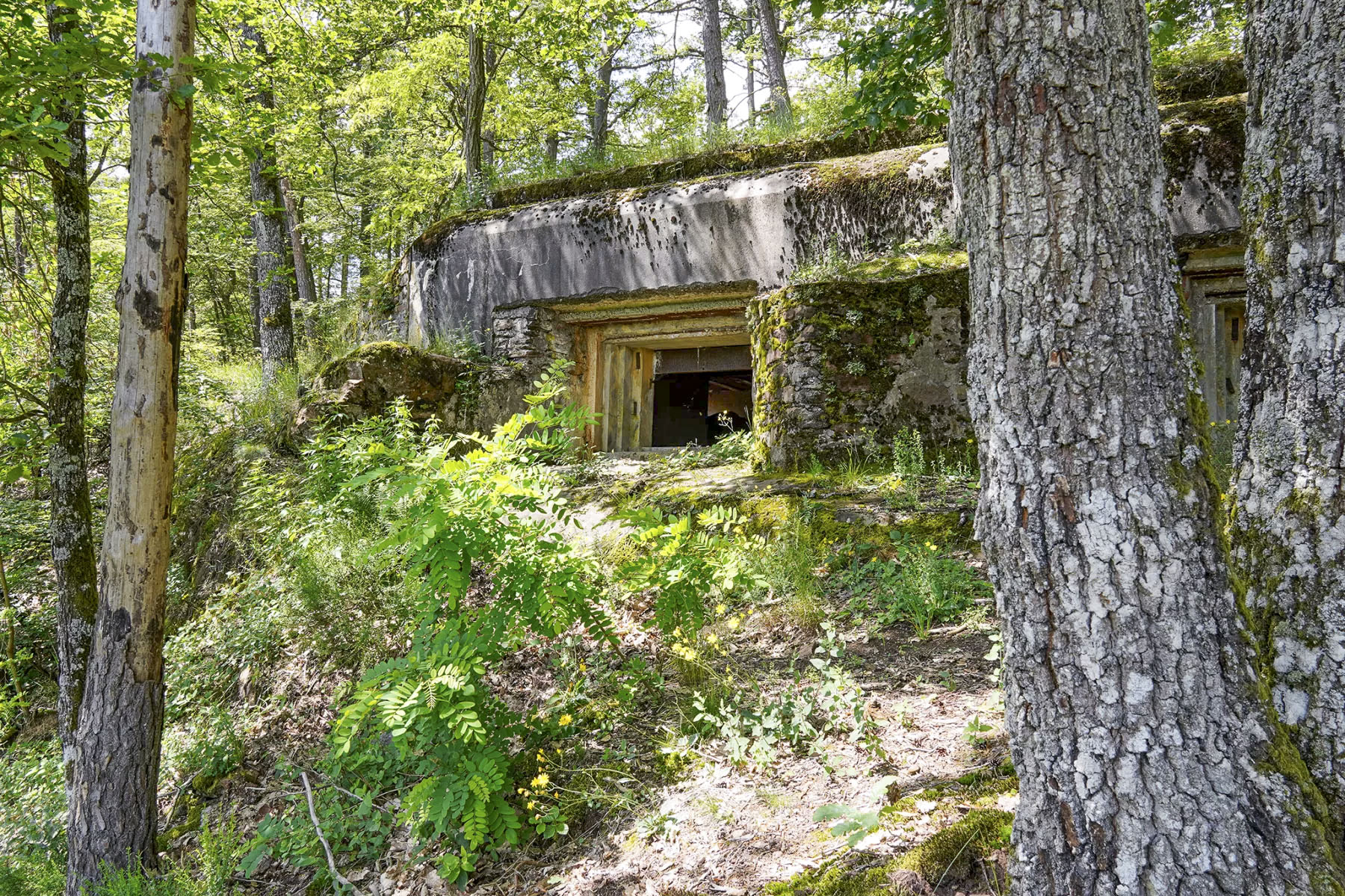Ligne Maginot - BIESENBERG - (Casemate d'artillerie) - Vue extérieure - David Palmer