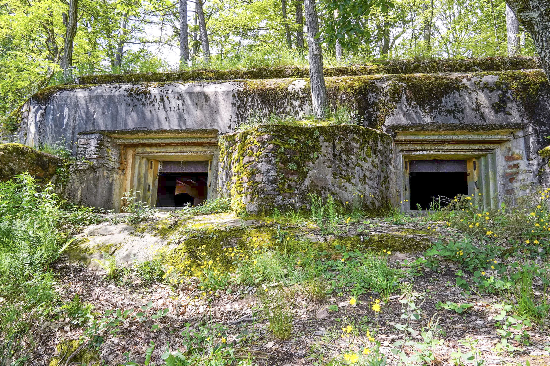 Ligne Maginot - BIESENBERG - (Casemate d'artillerie) - Vue extérieure - David Palmer