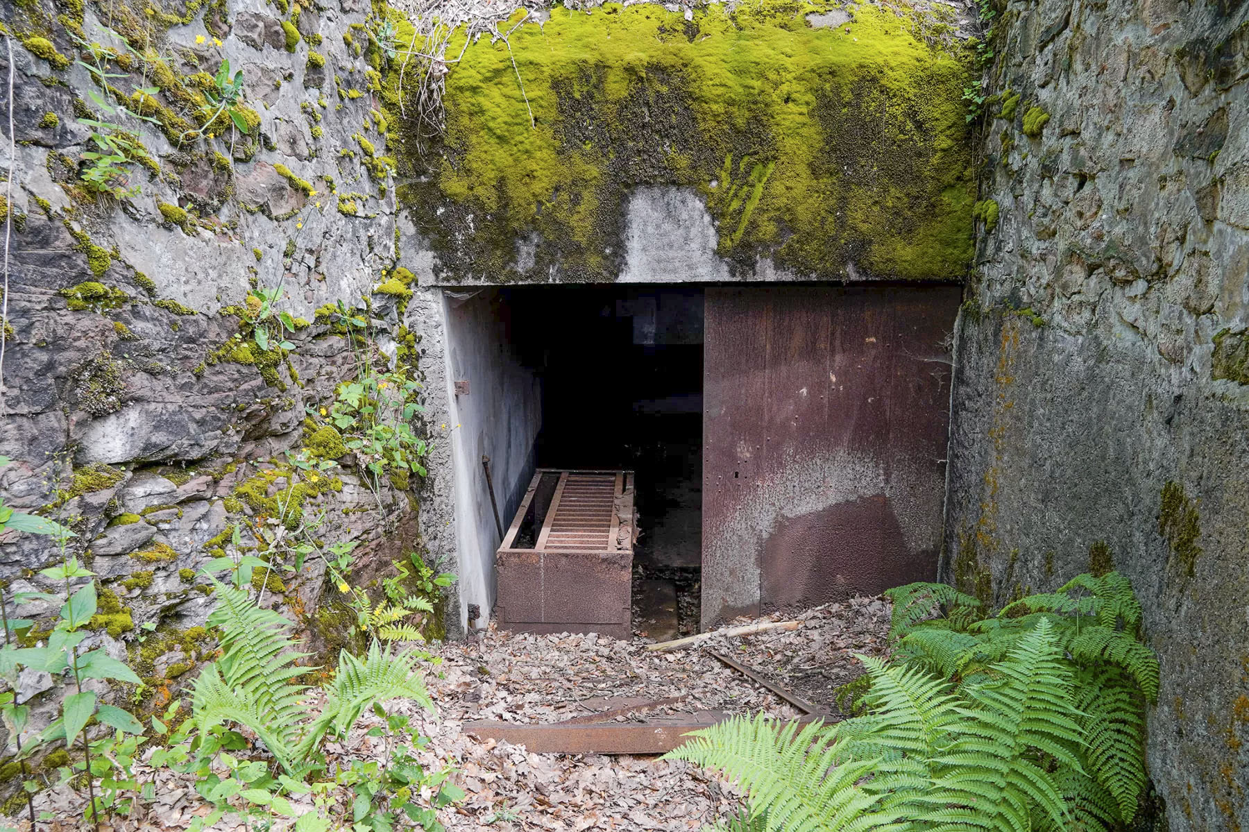 Ligne Maginot - BIESENBERG - (Casemate d'artillerie) - Entrée - David Palmer