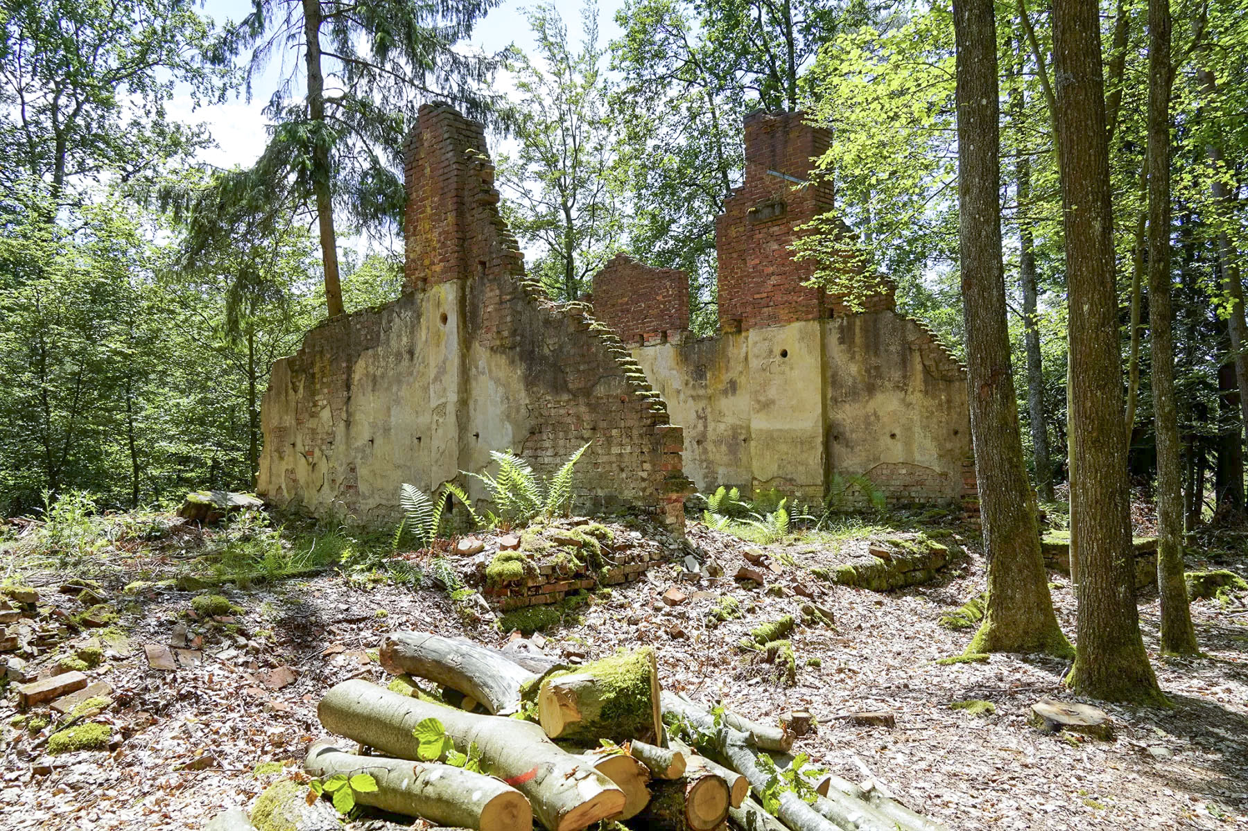 Ligne Maginot - BIESENBERG - (Casernement) - Ruines du casernement - David Palmer