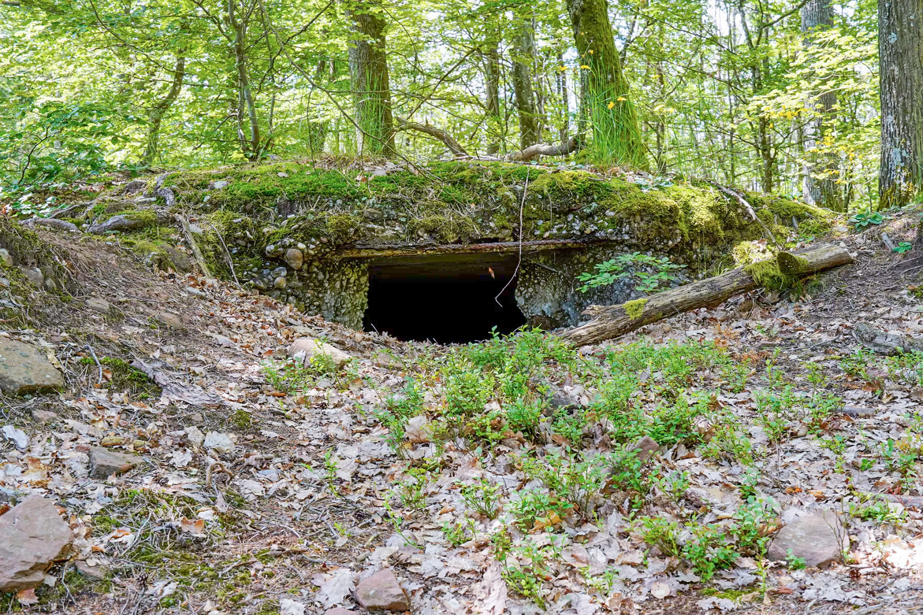 Ligne Maginot - BIESENBERG GAUCHE - (Observatoire d'artillerie) - Observatoire annexe gauche
Créneau d'observation de l'observatoire accolé à la droite de la casemate - David Palmer