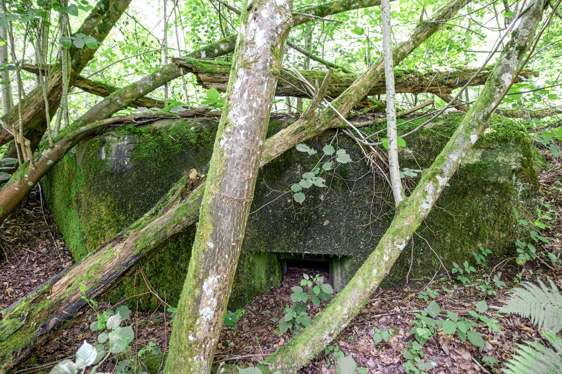 Ligne Maginot - NEUWEIHER 2 - (Blockhaus pour arme infanterie) - Créneau mitrailleuse - David Palmer