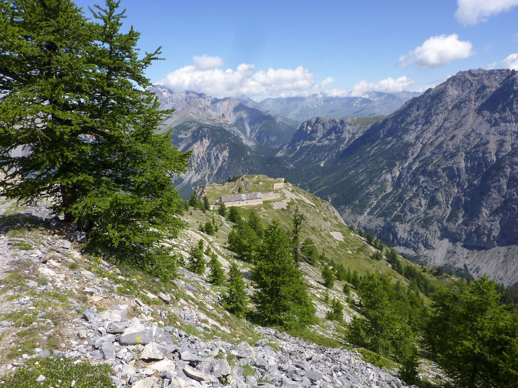 Ligne Maginot - L'OLIVE (BATTERIE CAVERNE) - (Position d'artillerie préparée) -  - ELLENA Daniel - CUNY Philippe