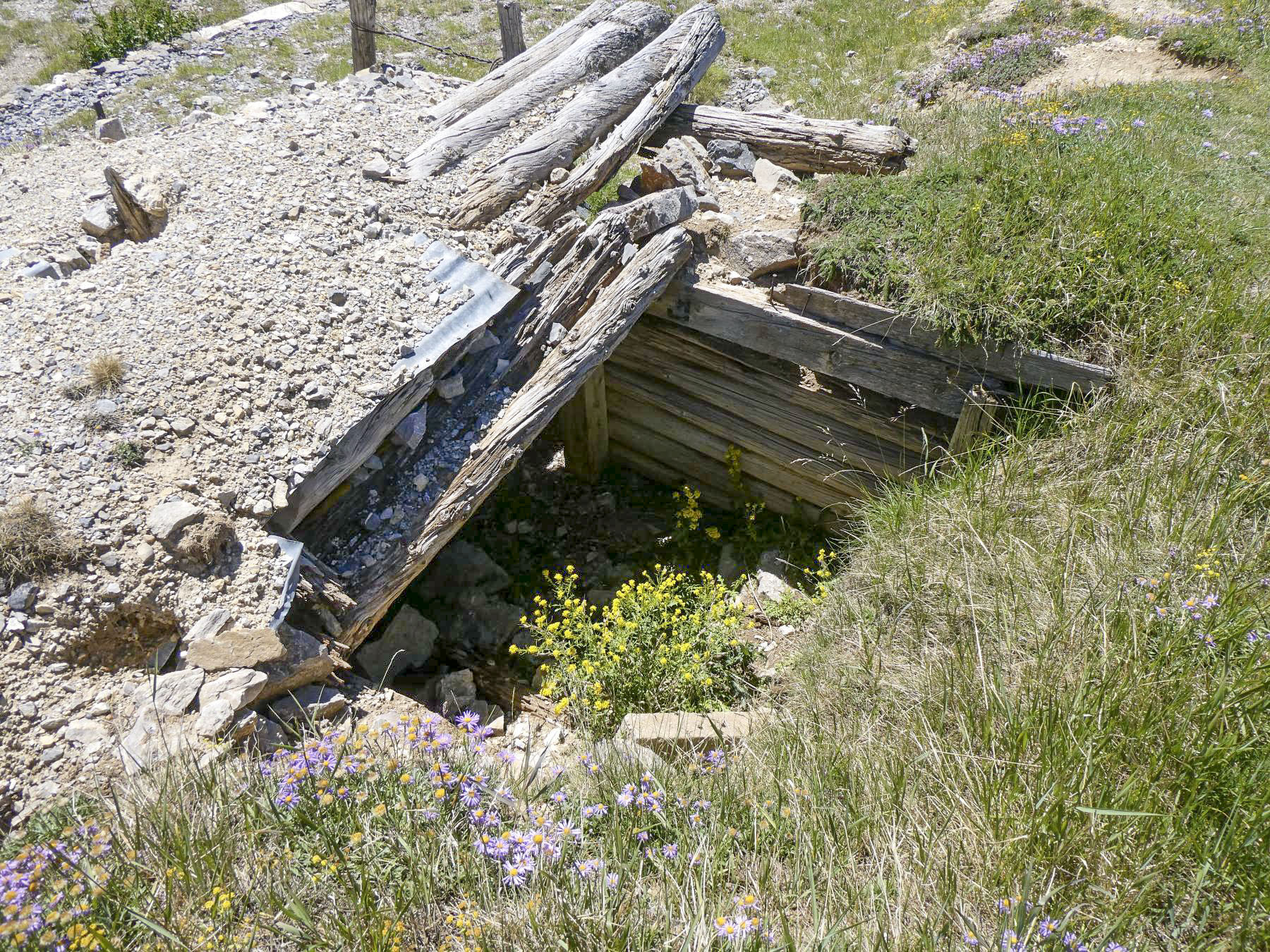 Ligne Maginot - L'OLIVE (BATTERIE CAVERNE) - (Position d'artillerie préparée) - Tranchée couverte avec deux emplacements de tir, peut-être pour mortier. - ELLENA Daniel - CUNY Philippe