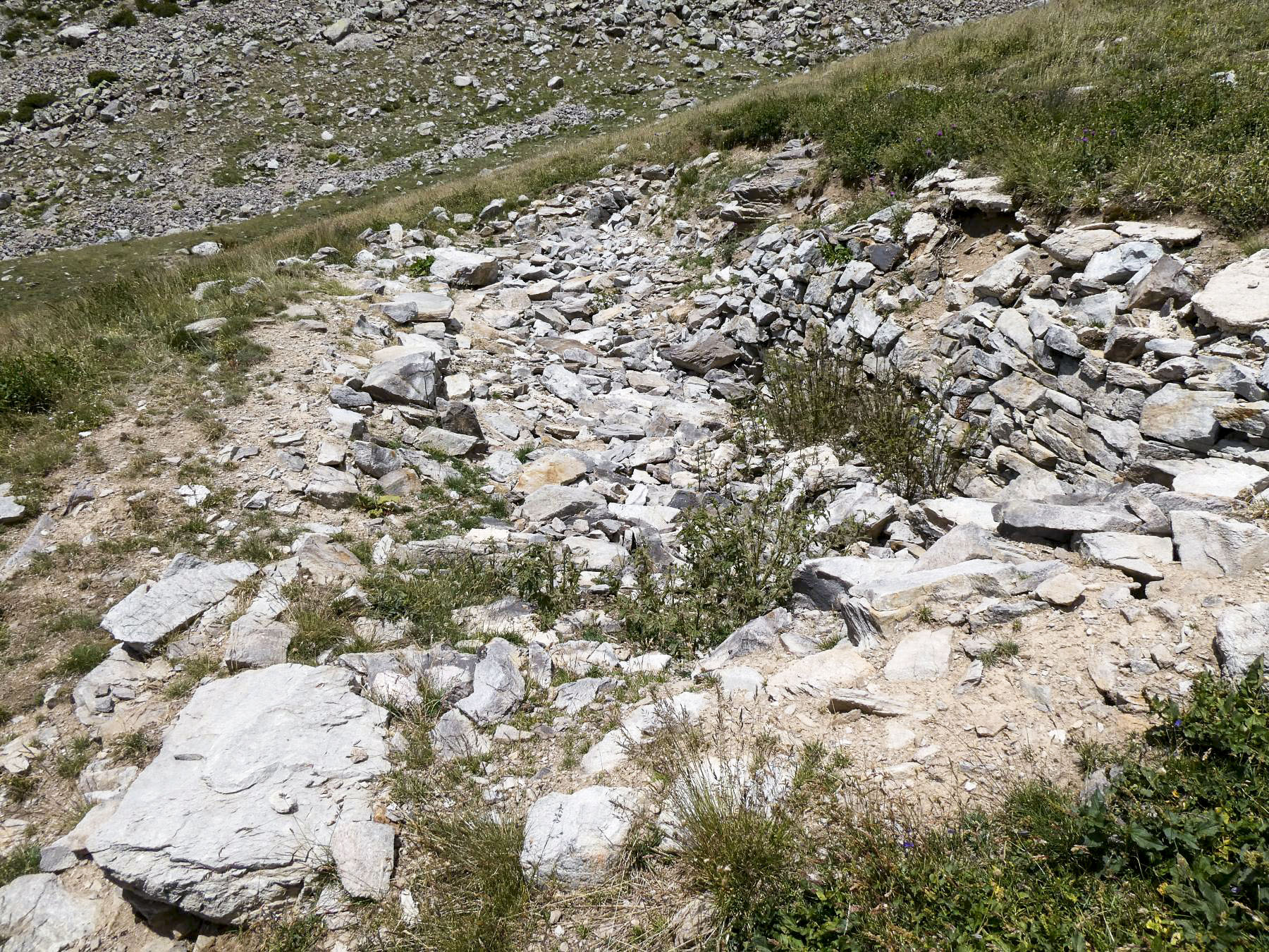 Ligne Maginot - PETIT MEYRET ABRI 1 - (Abri) - Les tôles ont disparu - ELLENA Daniel - CUNY Philippe