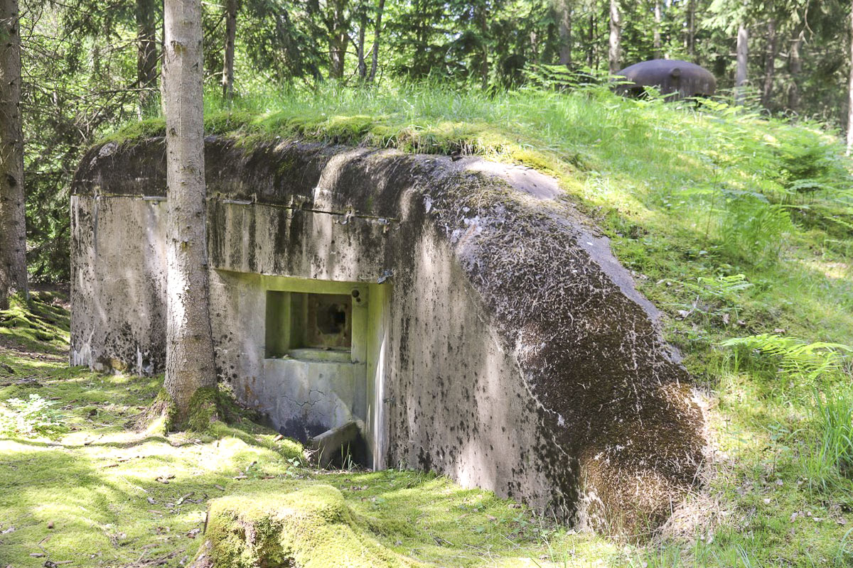 Ligne Maginot - BIESENBERG 1 - (Blockhaus pour arme infanterie) - Face est - Alain Perouffe