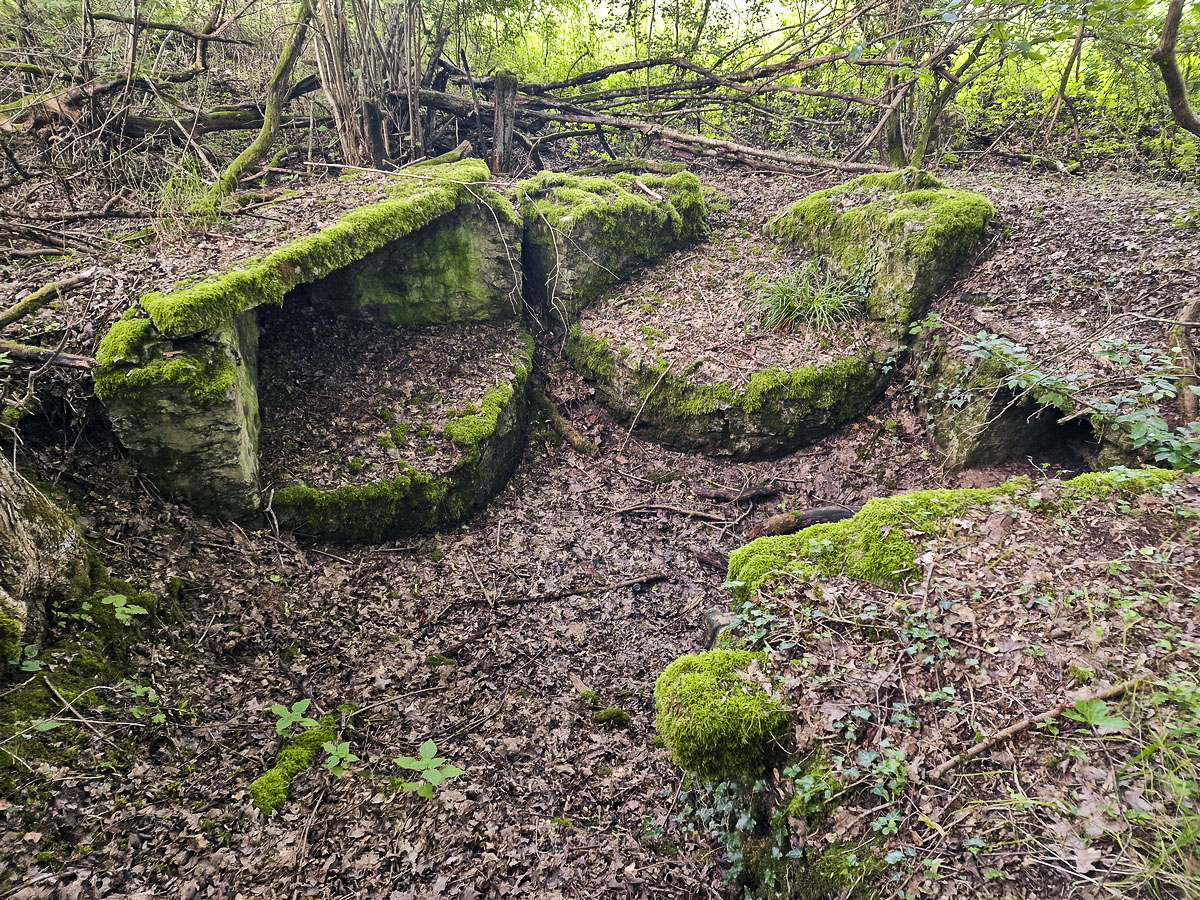 Ligne Maginot - SPITZWALD - (Cuve pour arme d'infanterie) - Depuis l'autre côté - Franck Niederlender