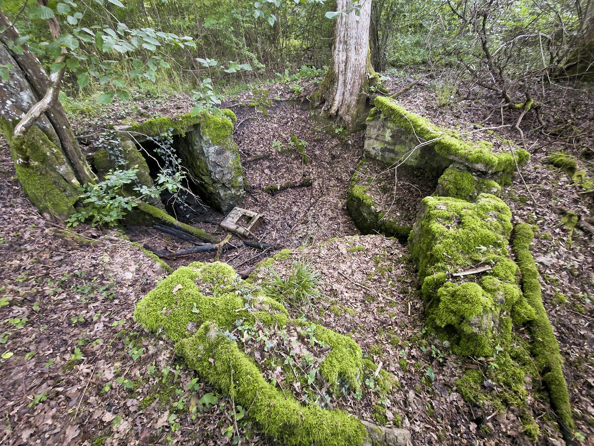 Ligne Maginot - SPITZWALD - (Cuve pour arme d'infanterie) - Vue générale de la cuve avec les deux postes et l'abri - Franck Niederlender