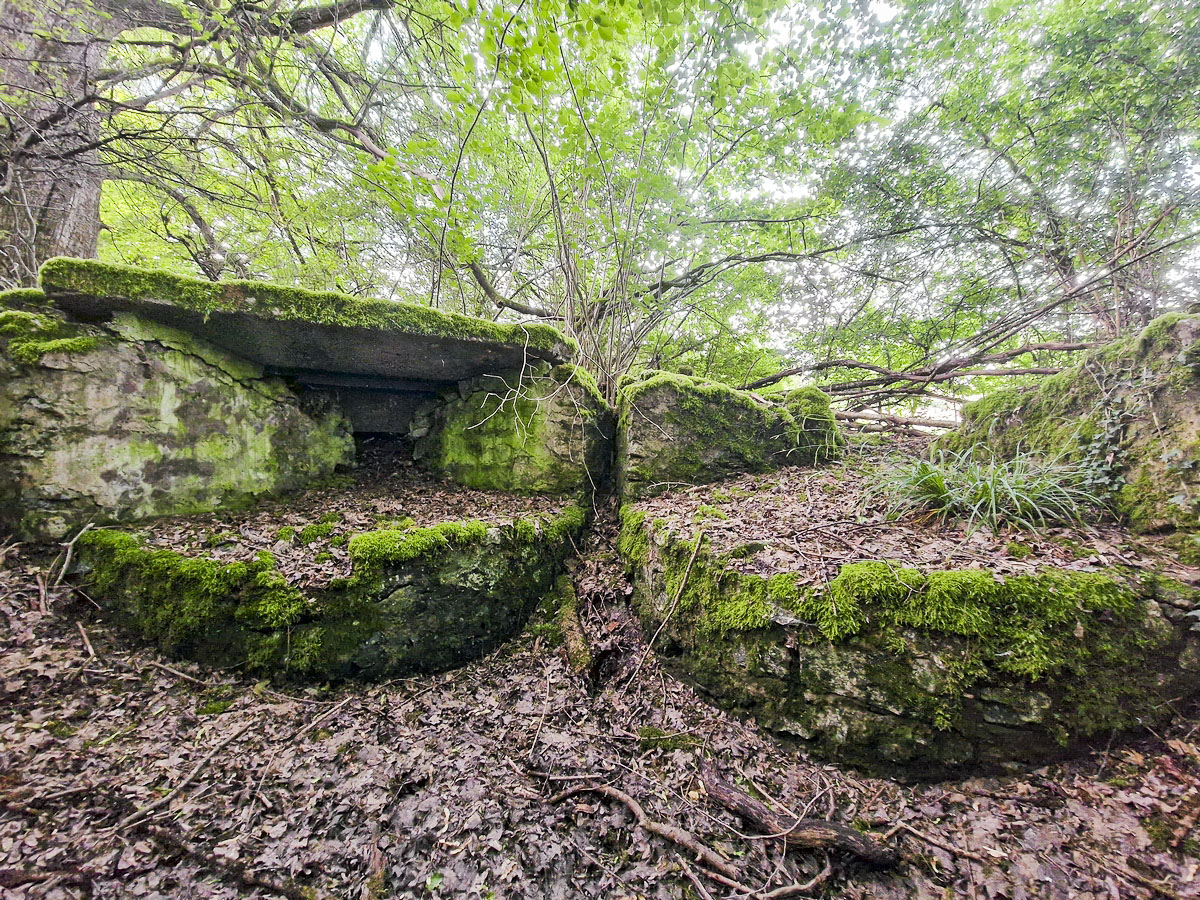 Ligne Maginot - SPITZWALD - (Cuve pour arme d'infanterie) - Détail des postes de tir ou d'observation - Franck Niederlender