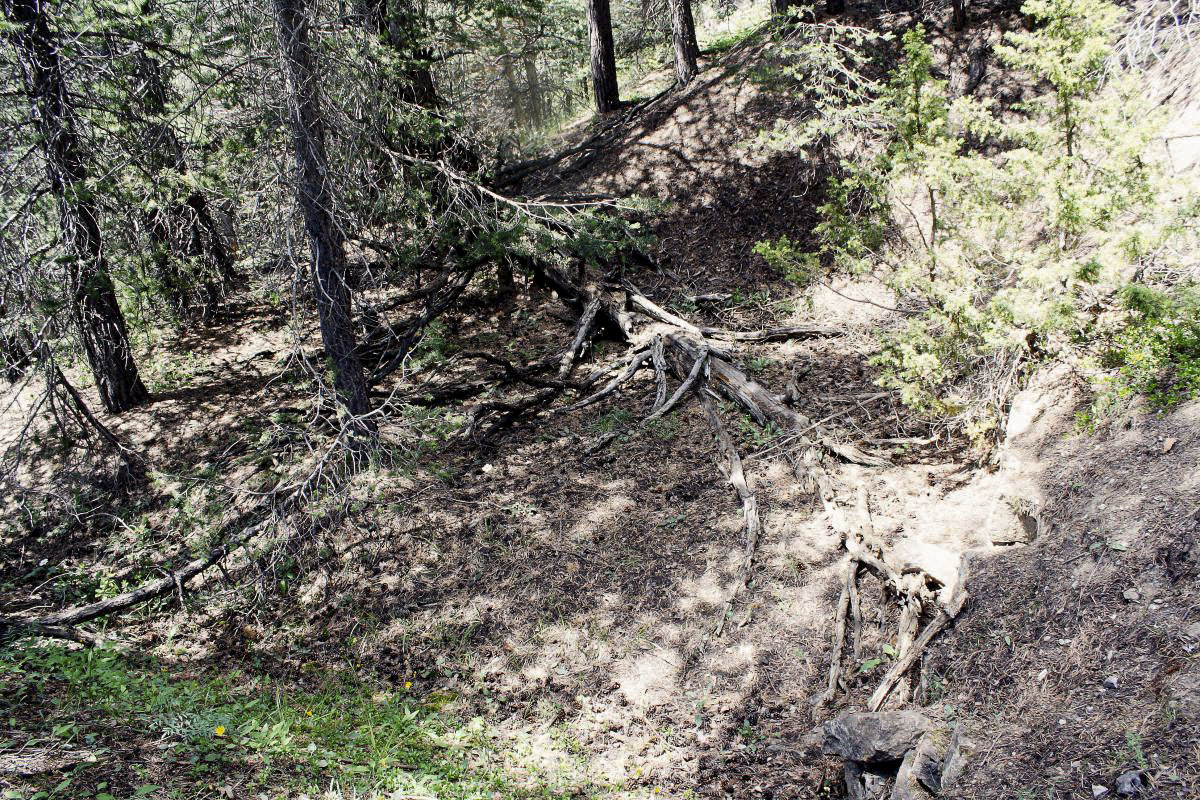 Ligne Maginot - BOIS DES BANS - (Divers) -                 