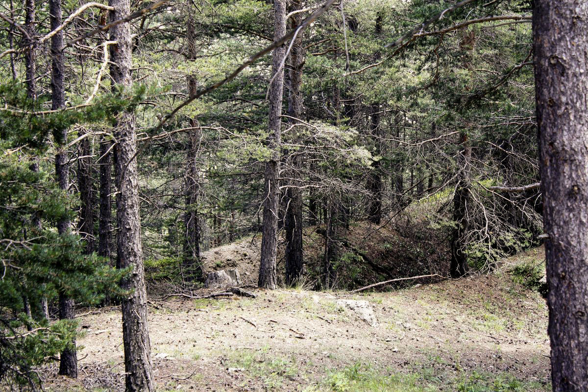 Ligne Maginot - BOIS DES BANS - (Divers) - Tranchée d'infanterie