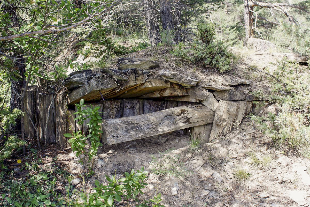 Ligne Maginot - BOIS DES BANS - (Divers) -  Position de 1930
