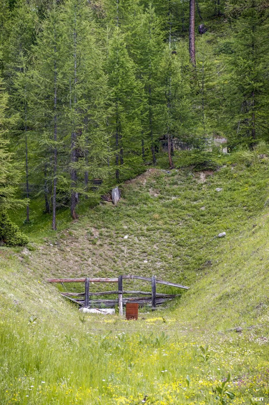 Ligne Maginot - BOIS DE SESTRIERES 1 - (Blockhaus pour canon) - 