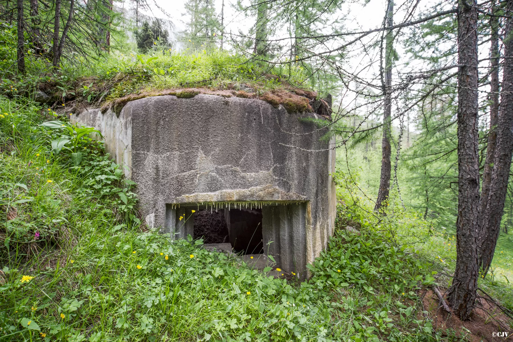 Ligne Maginot - BOIS DE SESTRIERES 1 - (Blockhaus pour canon) - 