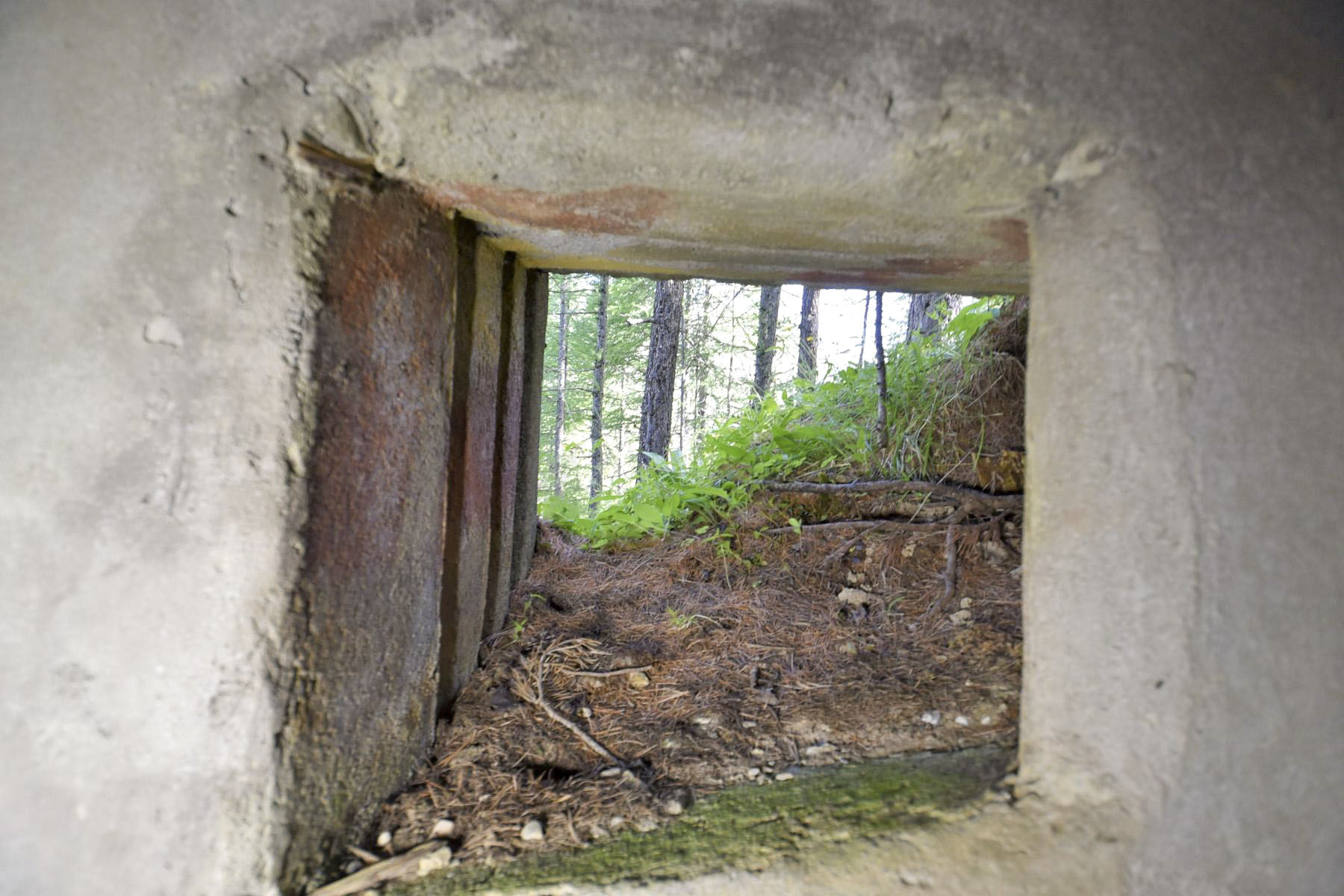 Ligne Maginot - BOIS DE SESTRIERES 3 - (Blockhaus pour arme infanterie) -  - Ludovic KNAPP