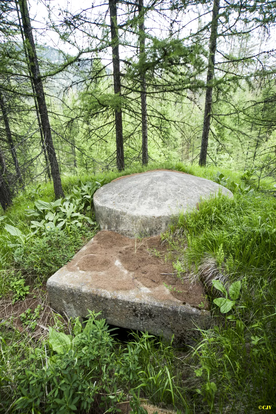 Ligne Maginot - BOIS DE SESTRIERES 4 - (Blockhaus pour arme infanterie) - 