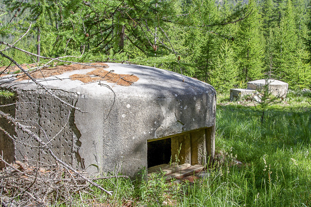 Ligne Maginot - BOIS DE SESTRIERES 6 - (Blockhaus pour canon) - Le bloc 5 est visible à l'arrière-plan - Michel Teiten