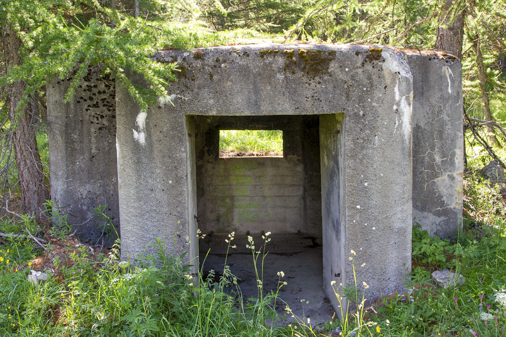Ligne Maginot - BOIS DE SESTRIERES 6 - (Blockhaus pour canon) -  - Michel Teiten