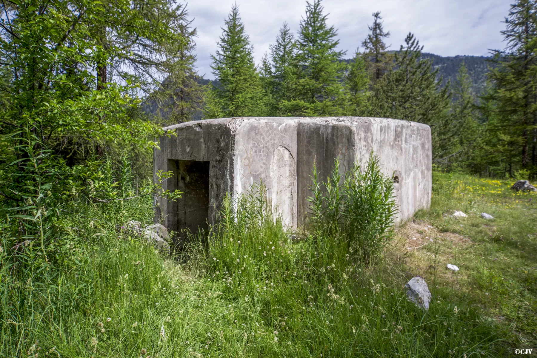 Ligne Maginot - BOIS DE SESTRIERES 7 - (Blockhaus pour canon) - 