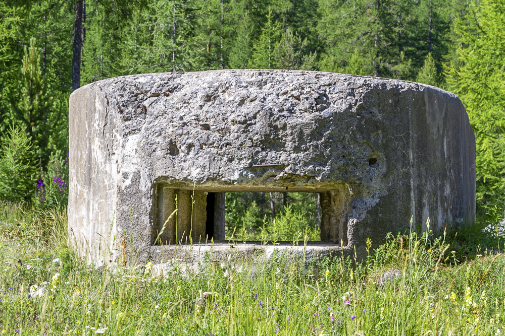 Ligne Maginot - BOIS DE SESTRIERES 7 - (Blockhaus pour canon) -  - Michel Teiten