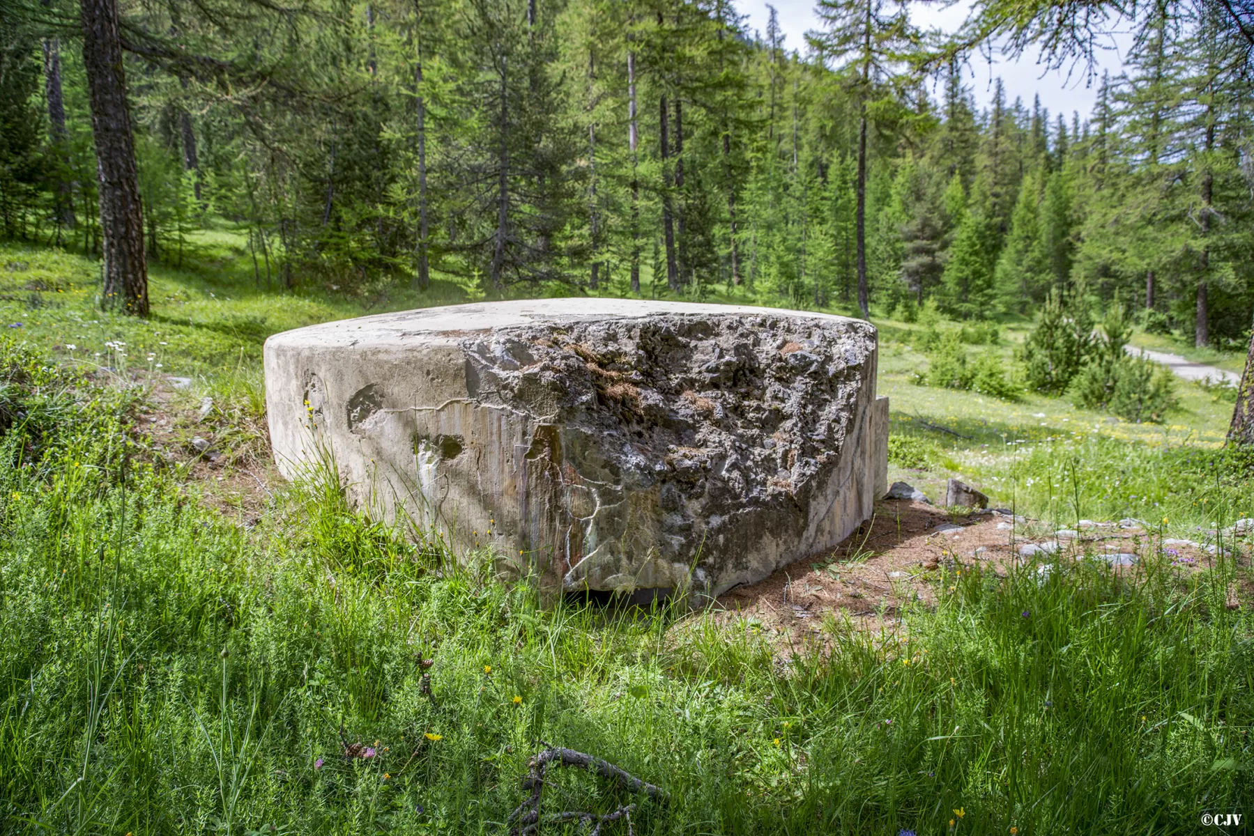 Ligne Maginot - BOIS DE SESTRIERES 8 - (Blockhaus pour arme infanterie) - 