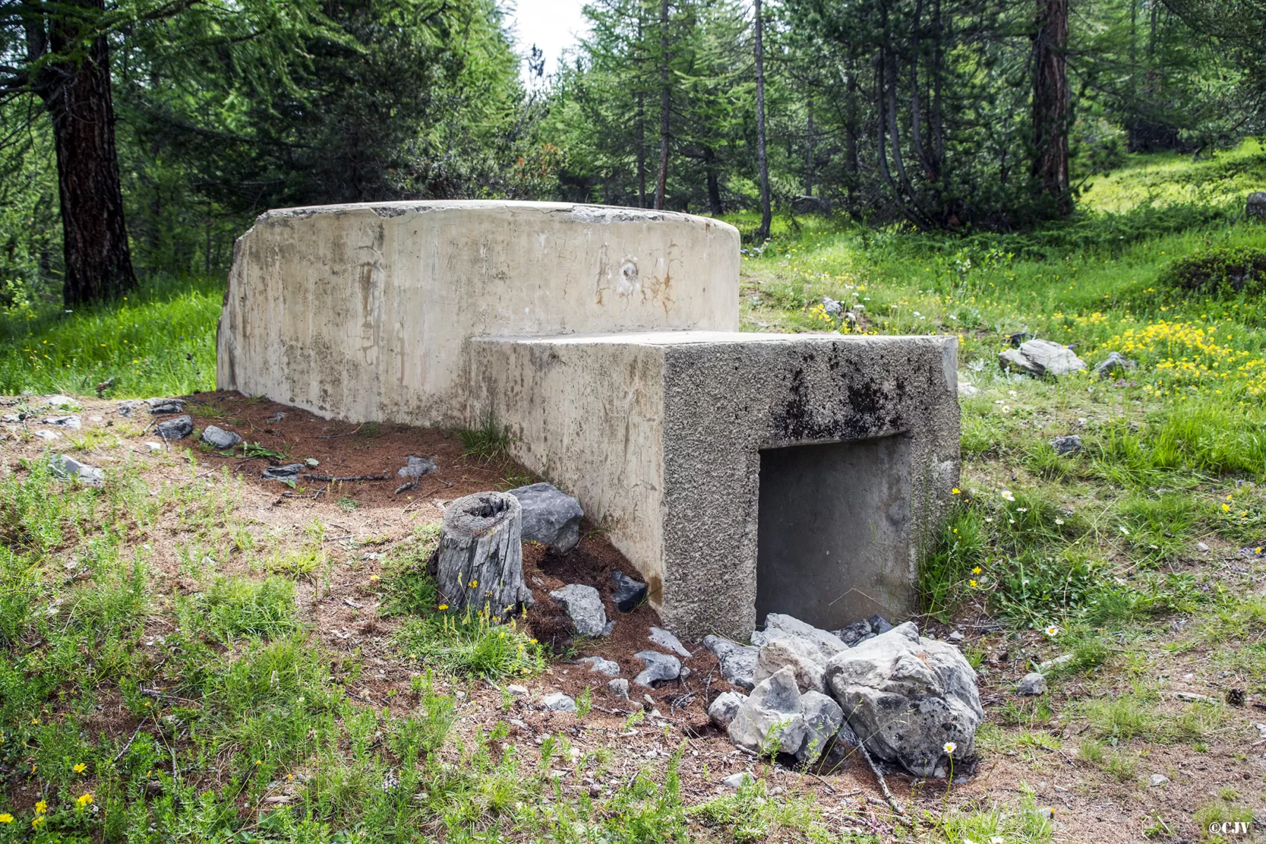 Ligne Maginot - BOIS DE SESTRIERES 8 - (Blockhaus pour arme infanterie) - 