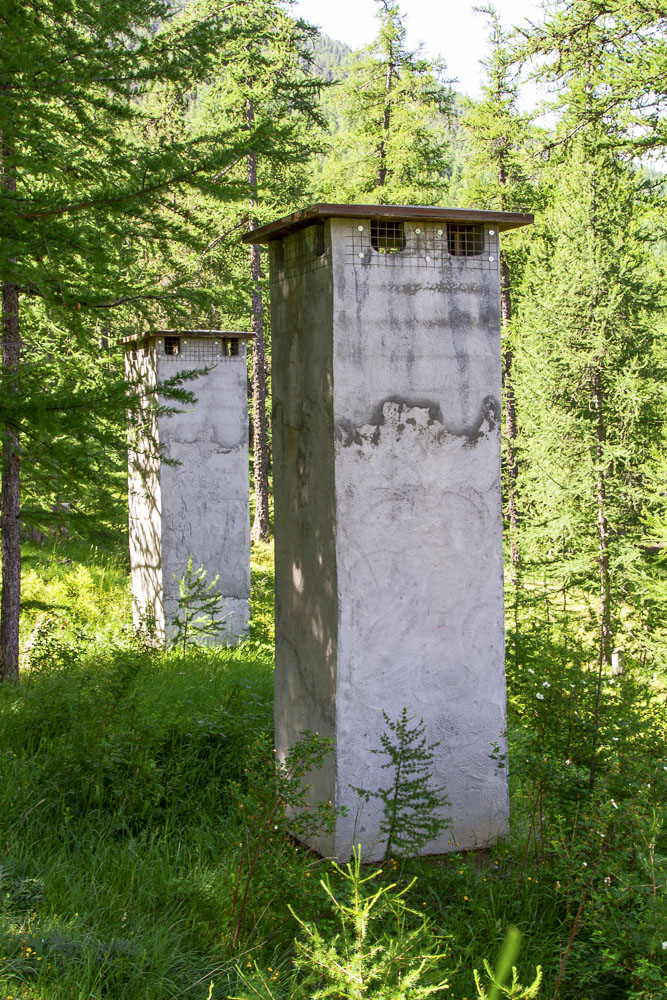 Ligne Maginot - BOIS DE SESTRIERES 10 - (Abri) - Les deux cheminées de l'abri - Michel Teiten