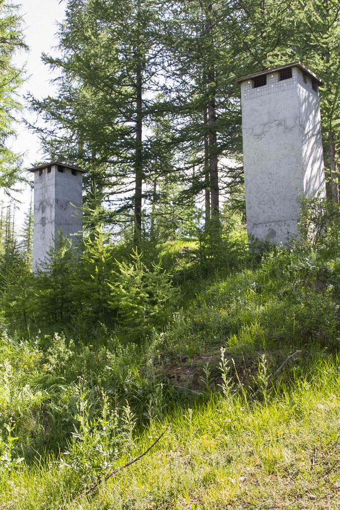 Ligne Maginot - BOIS DE SESTRIERES 10 - (Abri) - L'entrée de droite est remblayée et le béton dépasse à peine du sol - Michel Teiten