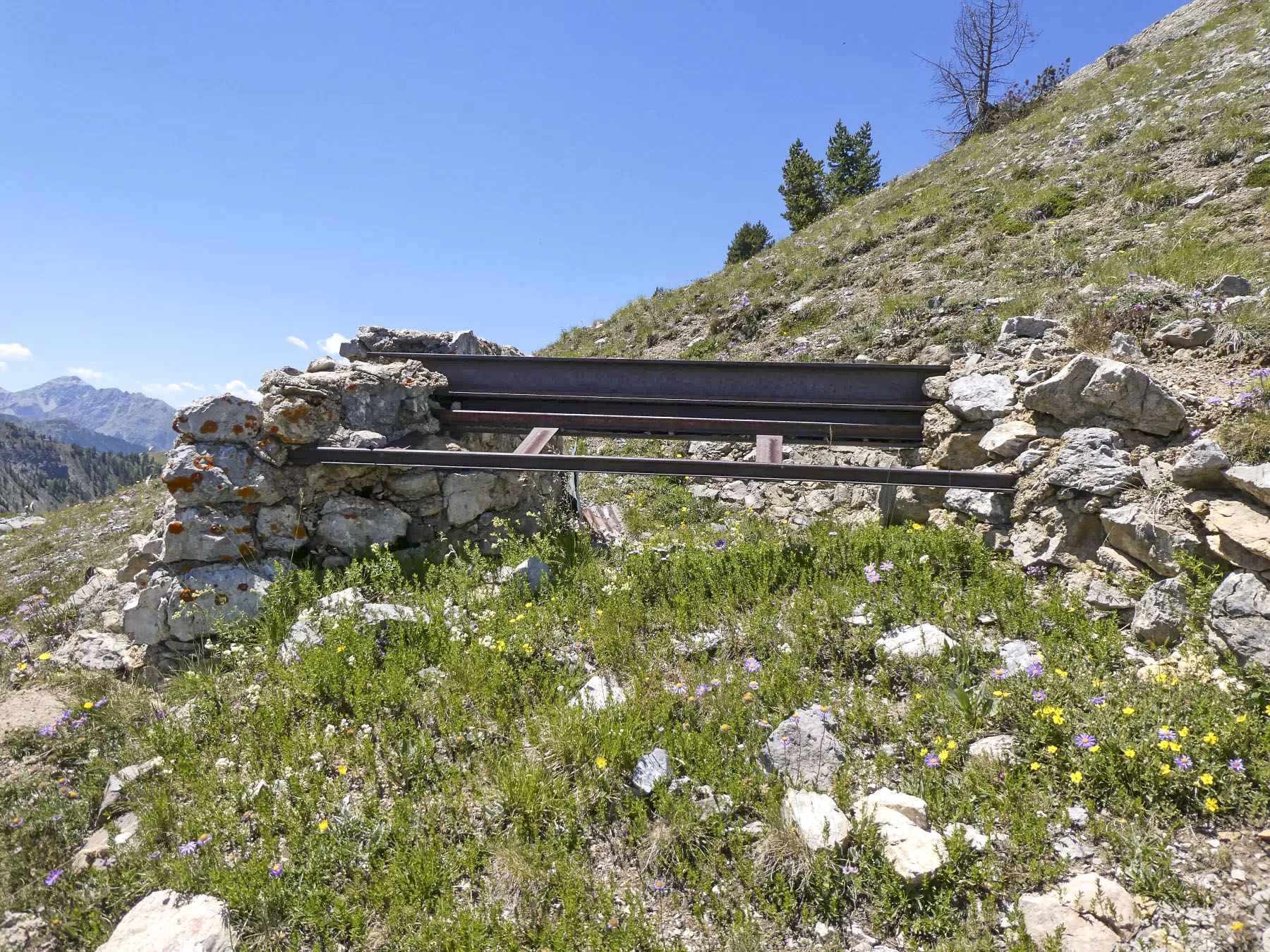 Ligne Maginot - JANUS SUD 2 - (Blockhaus pour canon) -  - ELLENA Daniel - CUNY Philippe