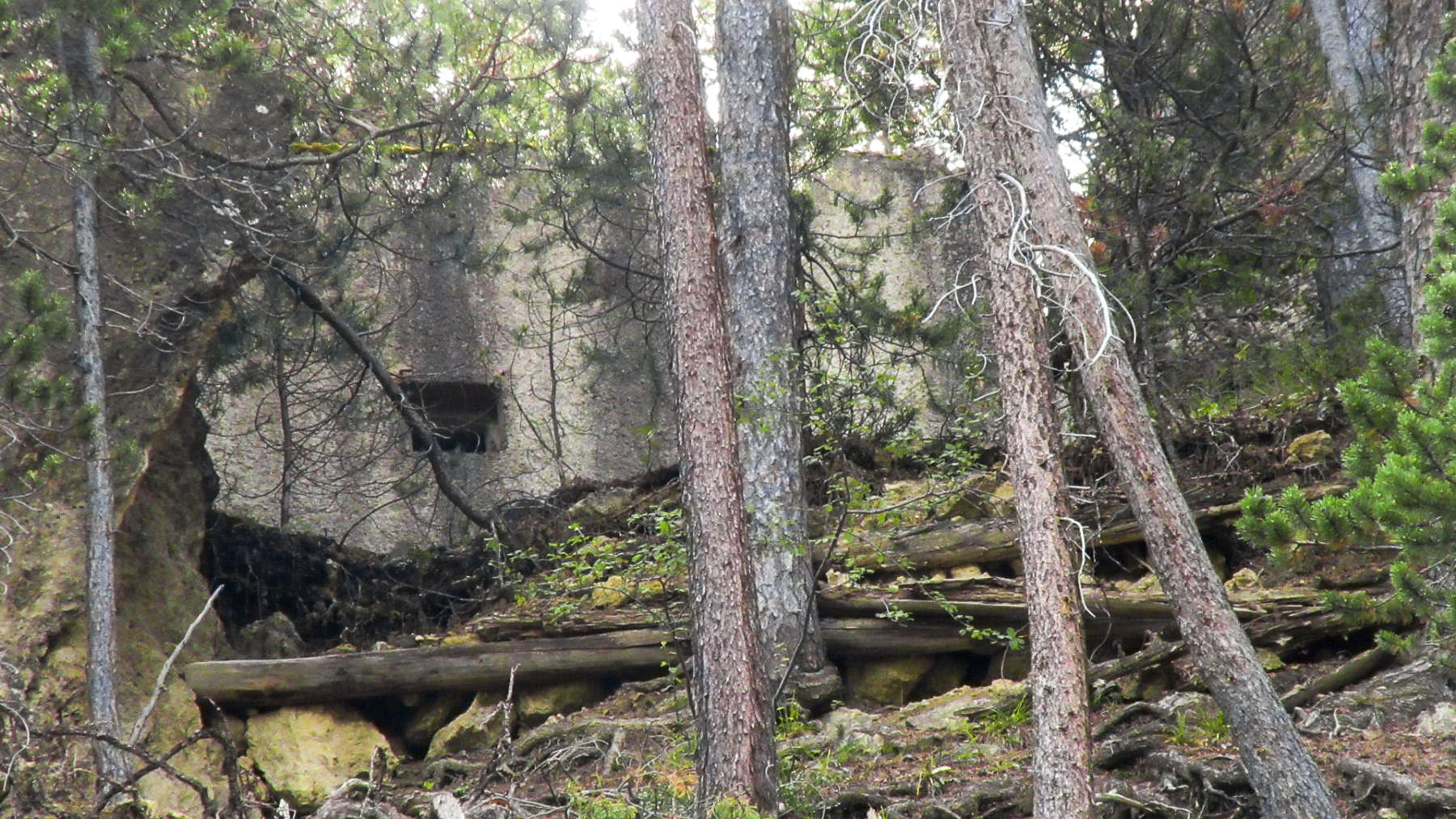 Ligne Maginot - CLOT DU POIN 1 - (Blockhaus pour arme infanterie) - Le bloc vu à travers les arbres depuis le chemin du Vallon