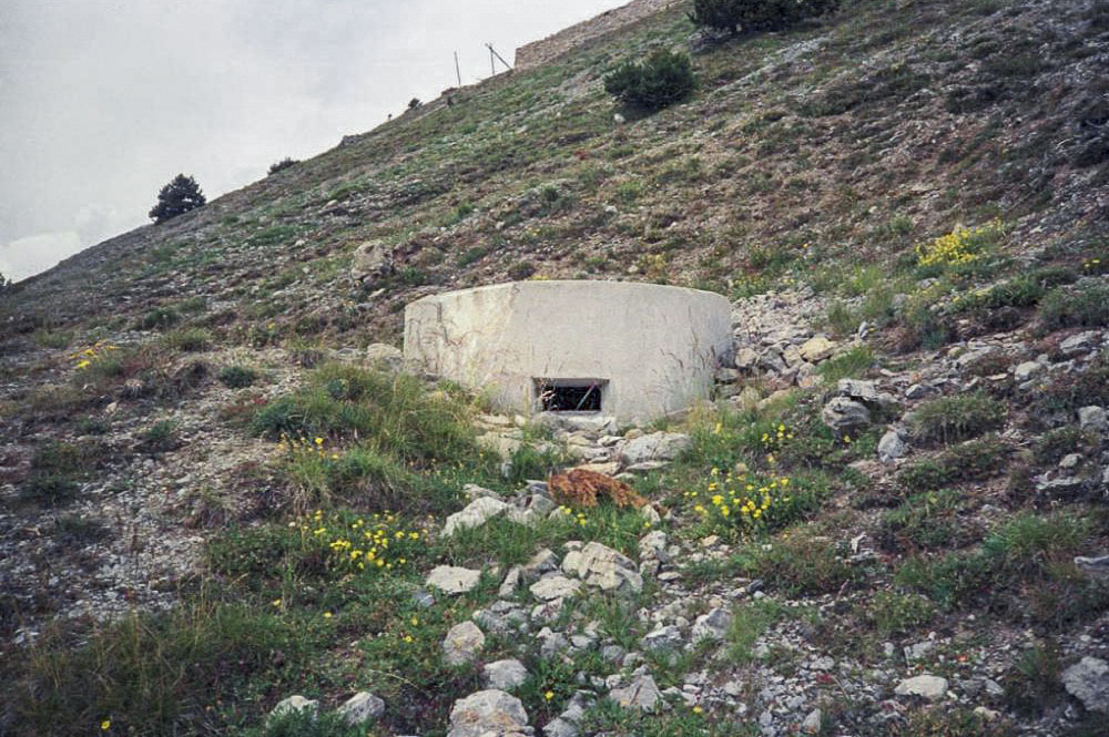 Ligne Maginot - JANUS SUD 1 - (Blockhaus pour arme infanterie) -  - LOVINY Alain