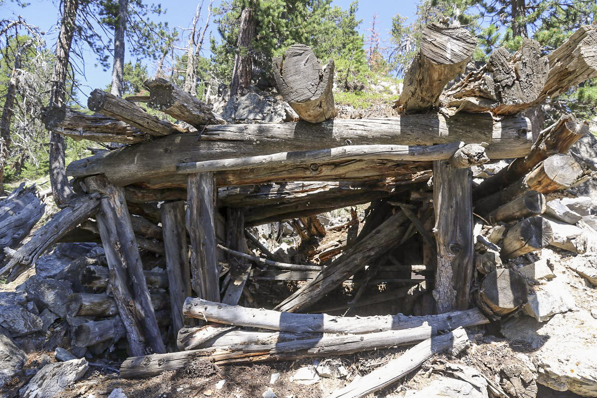 Ligne Maginot - CRETE DE LA PINEE 3 - (Abri) - La structure est encore en place, bien que ruinée - Alain Perouffe