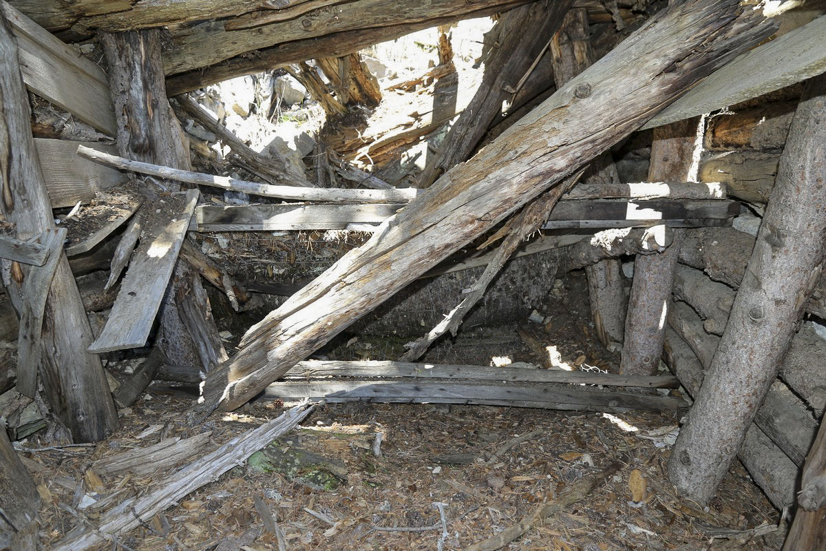 Ligne Maginot - CRETE DE LA PINEE 3 - (Abri) - La structure est encore en place, bien que ruinée - Alain Perouffe