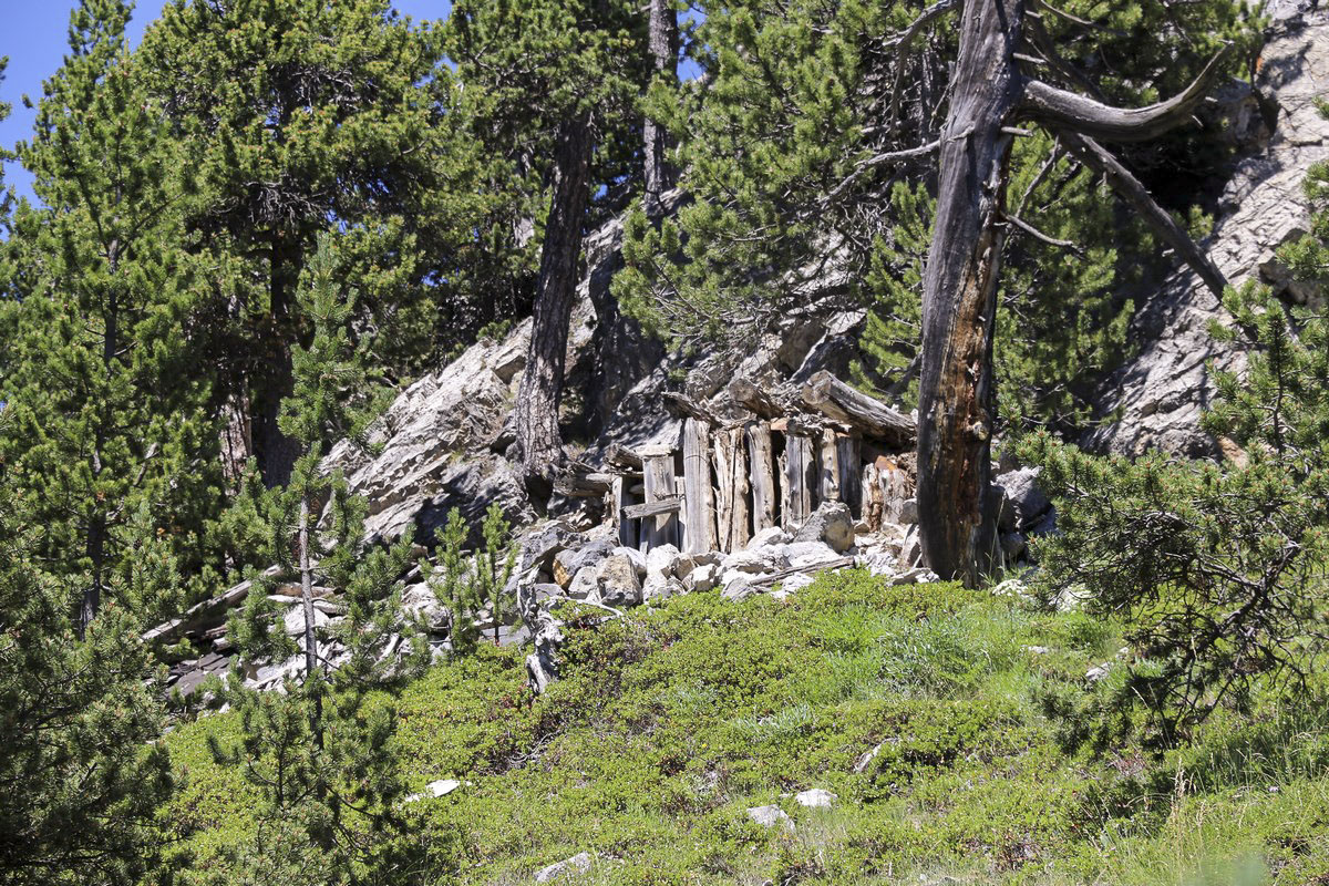 Ligne Maginot - CRETE DE LA PINEE 5 - (Abri) -  - Alain Perouffe