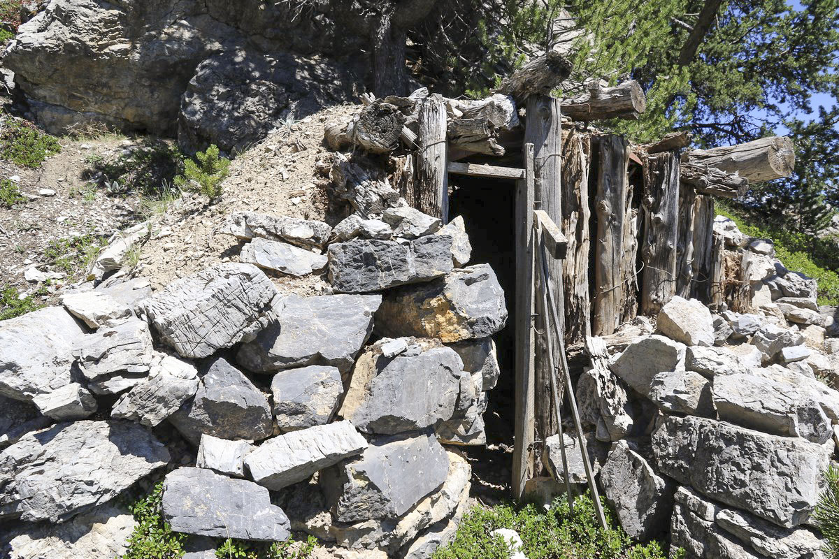Ligne Maginot - CRETE DE LA PINEE 5 - (Abri) -  - Alain Perouffe