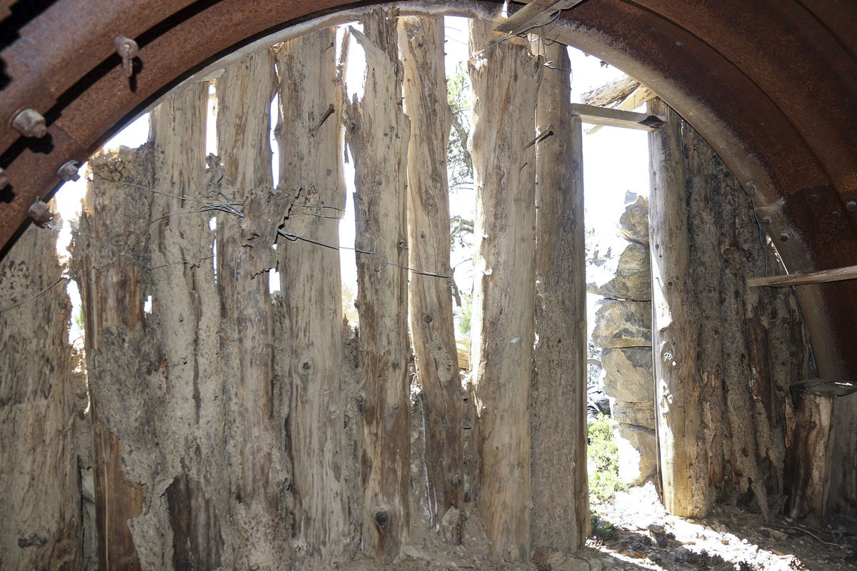 Ligne Maginot - CRETE DE LA PINEE 5 - (Abri) -  - Alain Perouffe