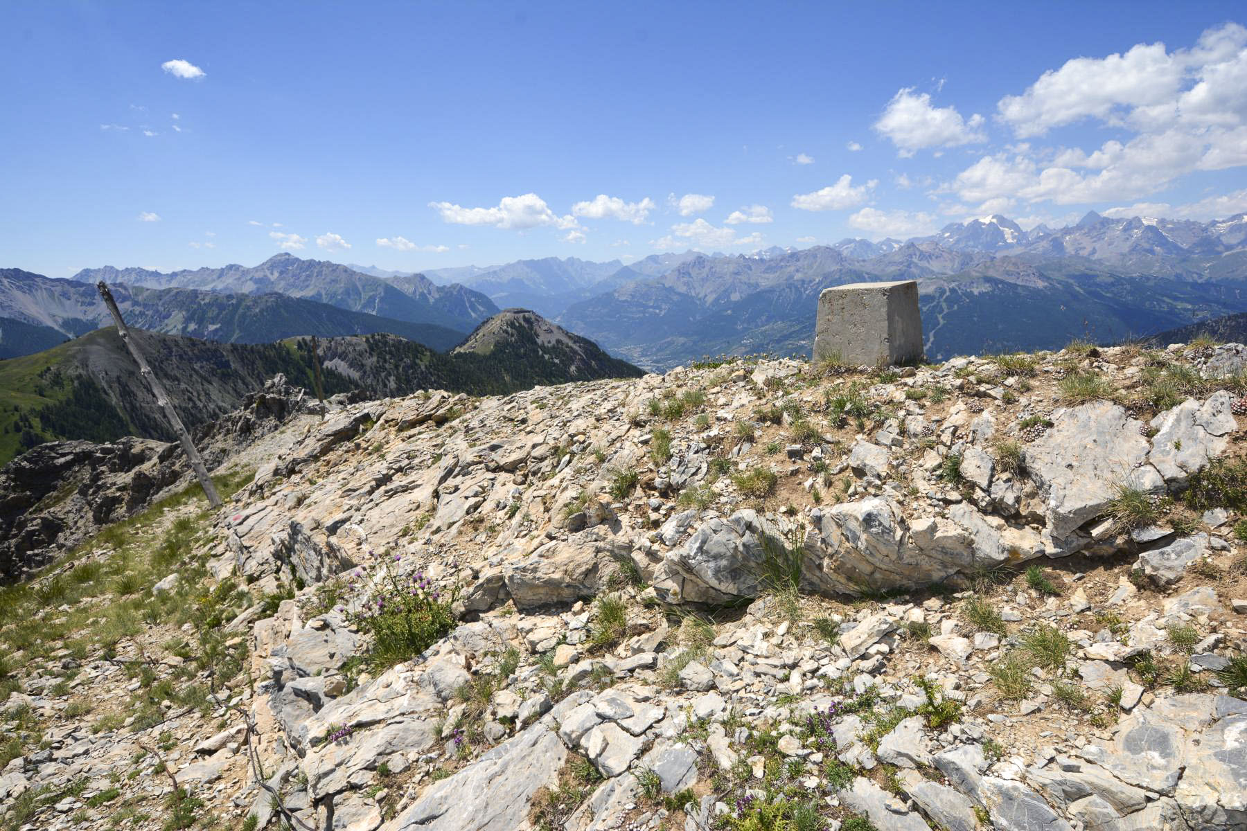 Ligne Maginot - CRETE DU JANUS - (Chambre de coupure) - Borne marquant le passage du câble téléphonique sur le Chemin du Facteur (Crête du Janus) - Pascal Lambert