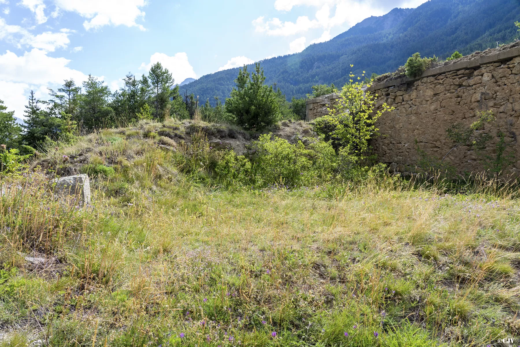 Ligne Maginot - FORT DAUPHIN (154° RAP - 4° BIE) - (Position d'artillerie préparée) - Un des emplacements - Lia VERMEULEN