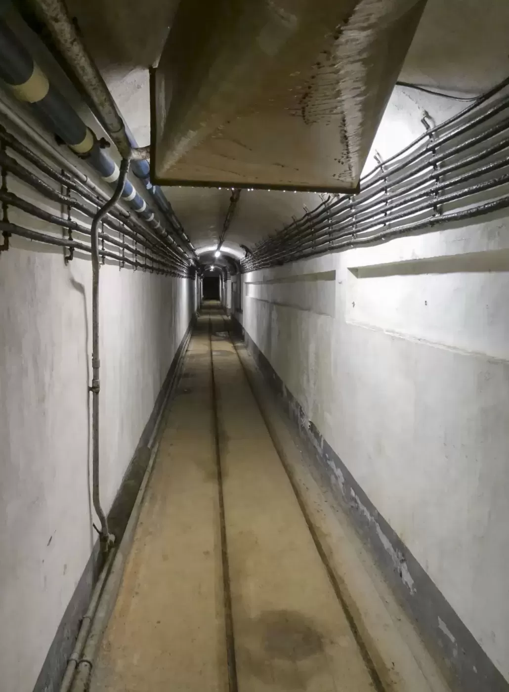 Ligne Maginot - JANUS - (Ouvrage d'artillerie) -  - ELLENA Daniel - CUNY Philippe