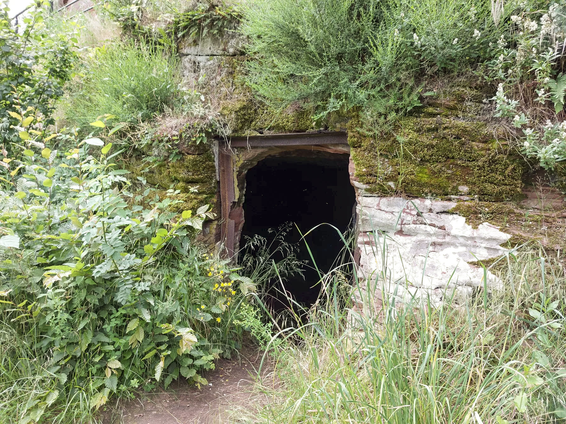Ligne Maginot - WALDECK - (Observatoire d'artillerie) - Réduit taillé dans le roc
L'entrée comportait une porte dont l'huisserie est encore présente - Gregory Fuchs