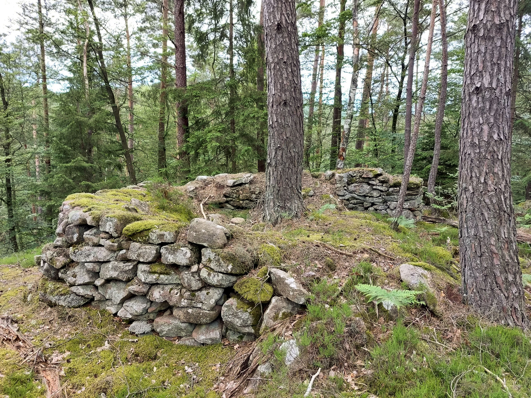 Ligne Maginot - LANDERSBERG OUEST - (Cuve pour arme d'infanterie) - Poste de tir en pierres sèches - Gregory Fuchs