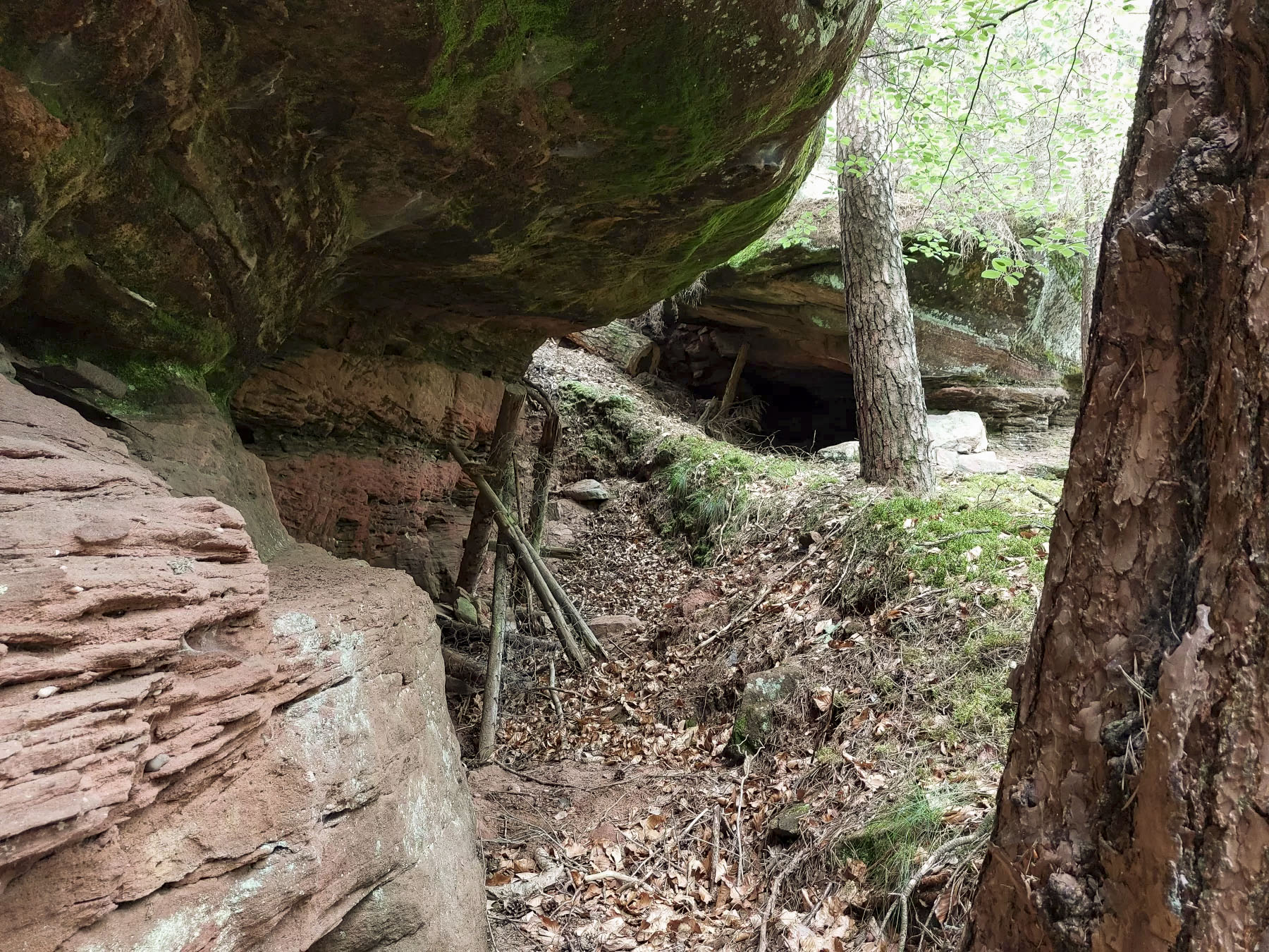 Ligne Maginot - LANDERSBERG OUEST - (Cuve pour arme d'infanterie) - Abris sous roche - Gregory Fuchs