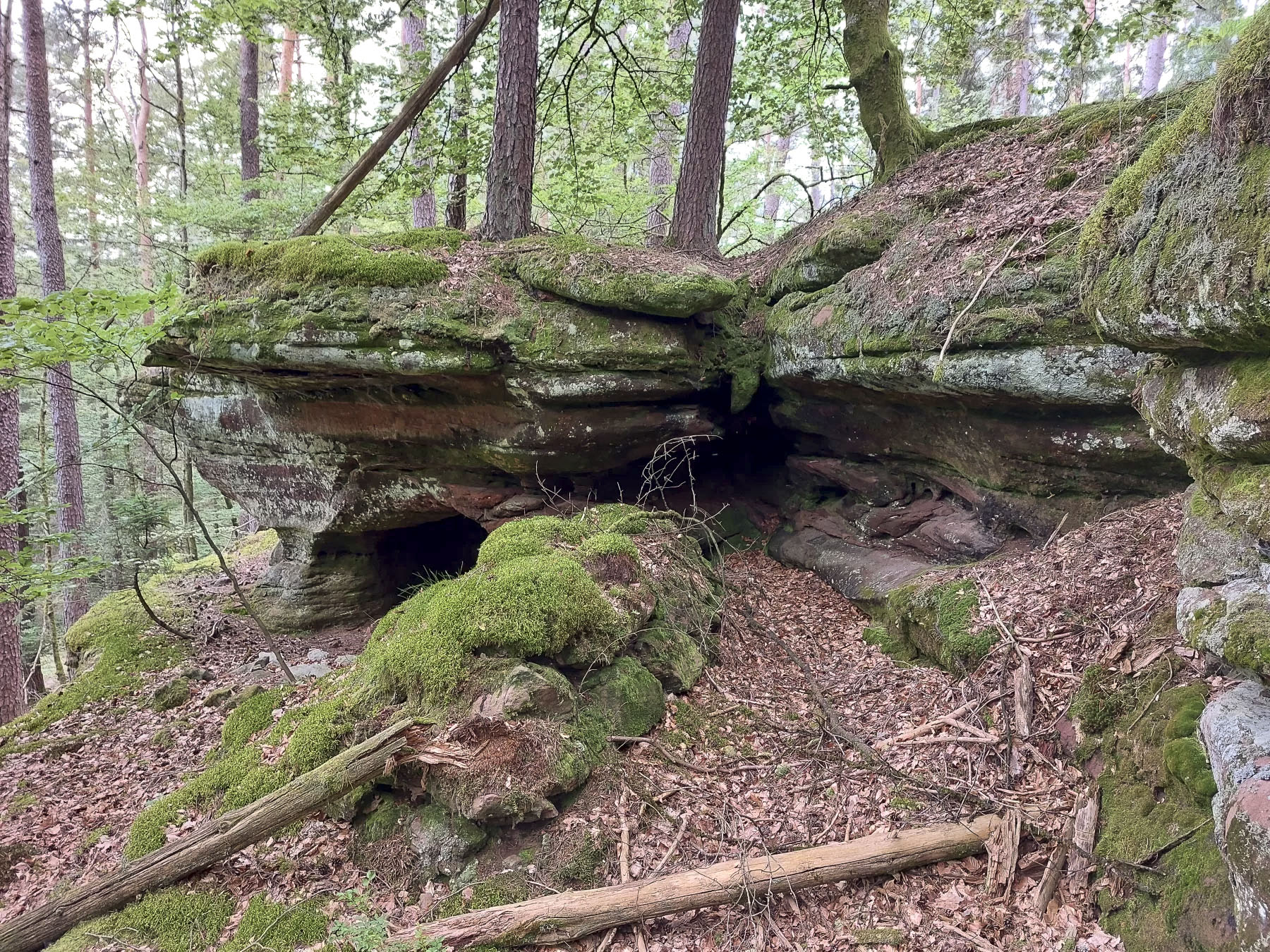 Ligne Maginot - LANDERSBERG OUEST - (Cuve pour arme d'infanterie) - Vestige d'un mur en pierres sèches  - Gregory Fuchs