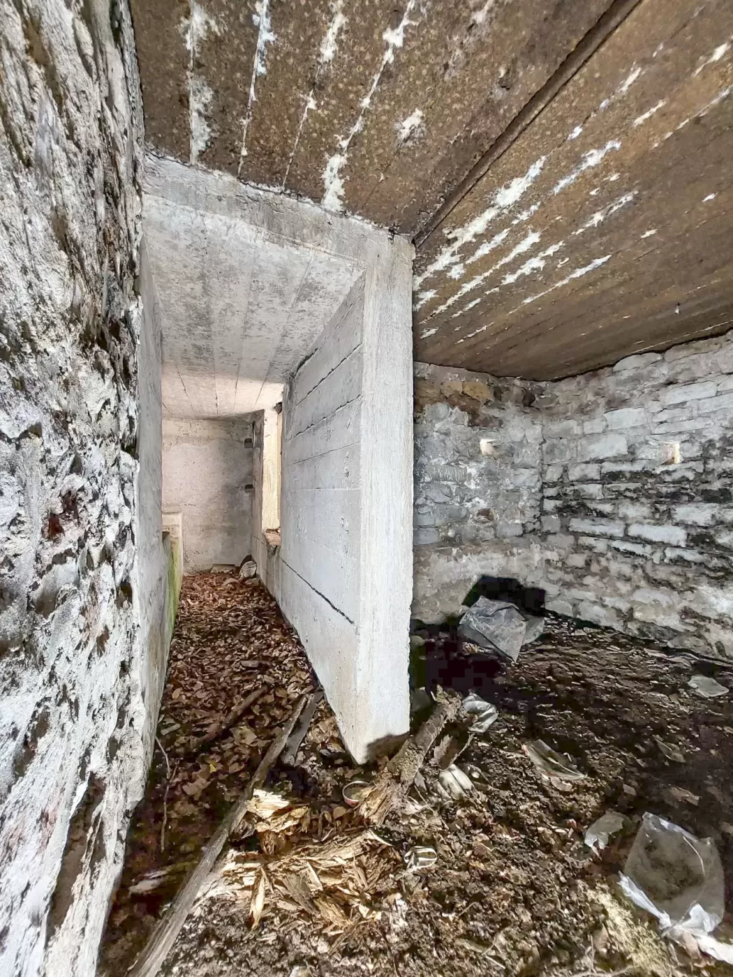 Ligne Maginot - DACHSECK 1 - (Blockhaus pour canon) - La partie annexe et la caponnière en moellons maçonnés
Au fond le blockhaus pour canon antichar - Gregory Fuchs